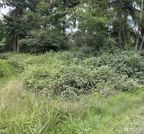 100 A Port Susan Dr, Hat Island, WA 98206