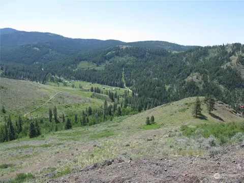 0 Lot 26 Chill Hill Dr, Republic, WA 99166