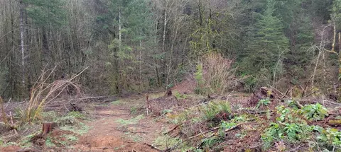 375 El Dorado Dr, Longview, WA 98632 photo 19