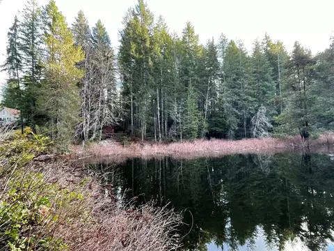 0 NE Nnn Ne Lakeview Pl, Tahuya, WA 98588