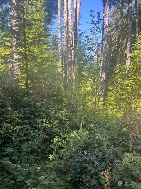 0 Lots 12 Blk20 Raymond 6th Add, Raymond, WA 98577