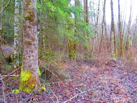 0 Mineral Hill Rd, Morton, WA 98356