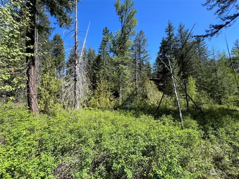 7 Cedar Cir, Mazama, WA 98833
