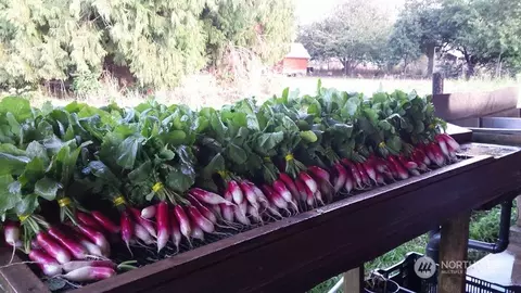 Other - 5709 Putnam Rd, Everson, WA 98247 photo 9 of 10