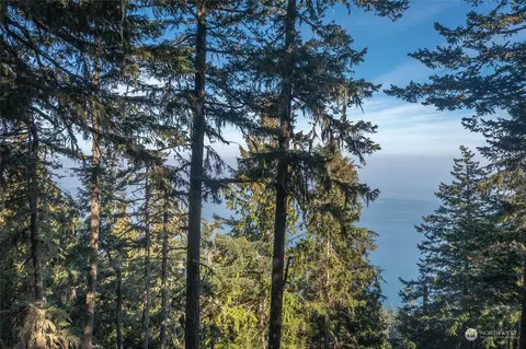 1910 Twin Lakes Dr, Orcas Island, WA 98245
