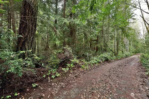 0 Peaceful Pl, Langley, WA 98260