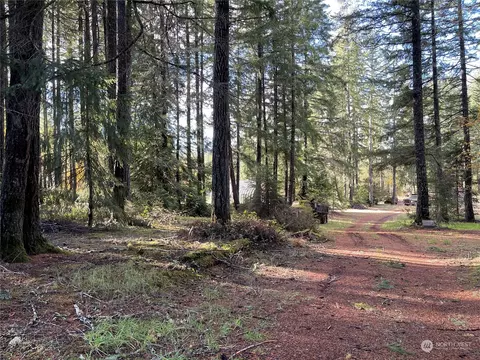 0 E Rasor Rd, Belfair, WA 98528