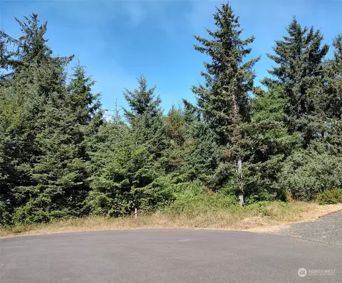 621 Arcadia Ct NE, Ocean Shores, WA 98569