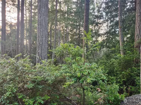 101 N Colony Surf Dr, Lilliwaup, WA 98555