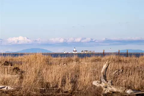 View/Area - 1282 Three Crabs Rd, Sequim, WA 98382 photo 6 of 7