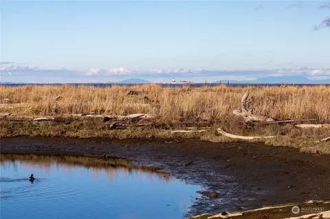 View/Area - 1282 Three Crabs Rd, Sequim, WA 98382 photo 5 of 7