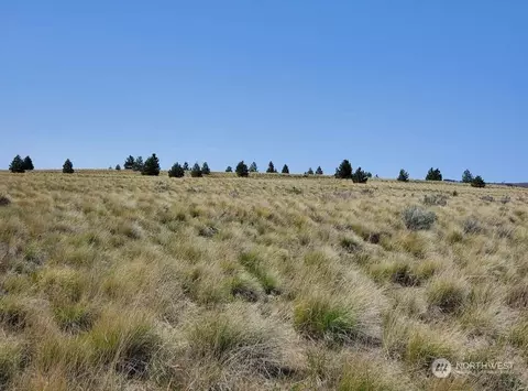 205 Middle Rd, Bickleton, WA 99322