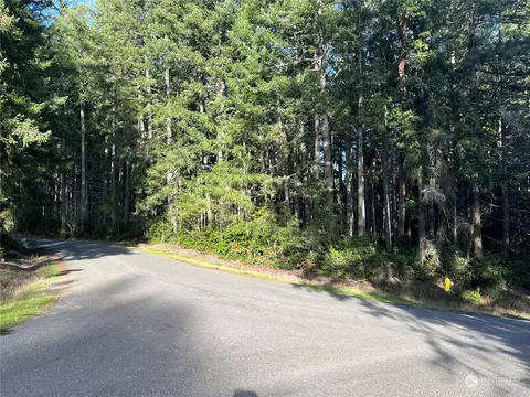 9119 Eckenstam Johnson Rd, Anderson Island, WA 98303