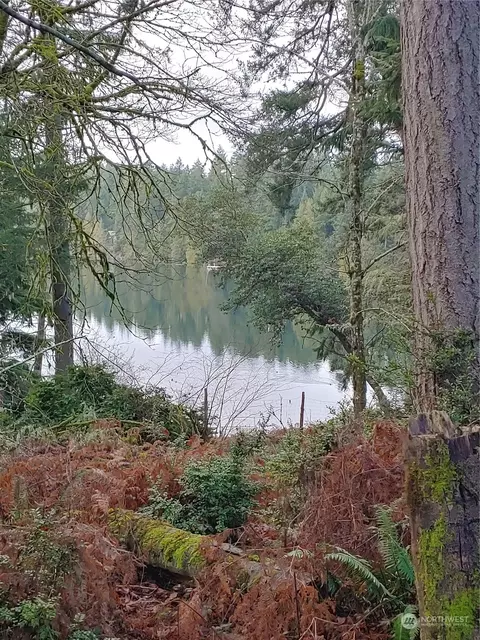 10007 104th Ave, Anderson Island, WA 98303