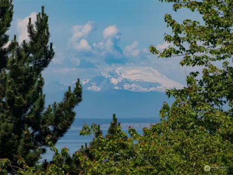 423 Ravens Ridge Rd, Sequim, WA 98382 photo 31