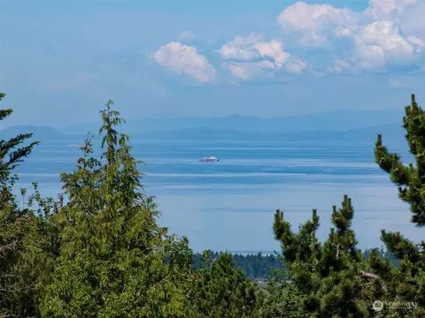 423 Ravens Ridge Rd, Sequim, WA 98382 photo 38