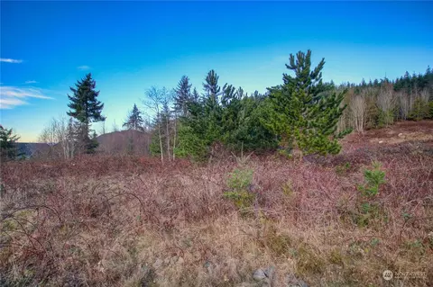 0 Benson Ridge Ln, Mount Vernon, WA 98274