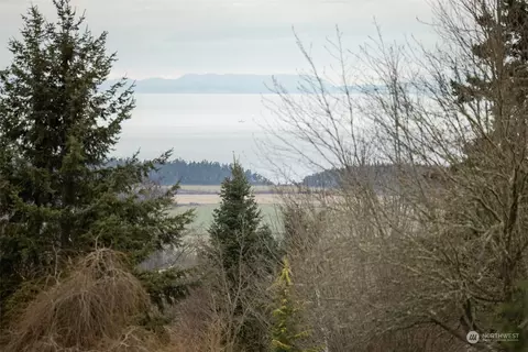 View/Area - 443 Doe Run Rd, Sequim, WA 98382 photo 2 of 2
