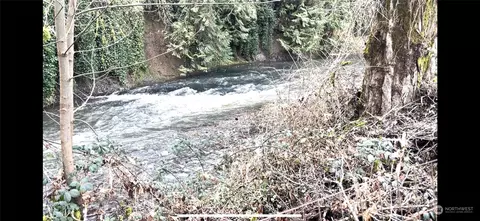 410 SW Canyon Loop, Winlock, WA 98596 photo 27