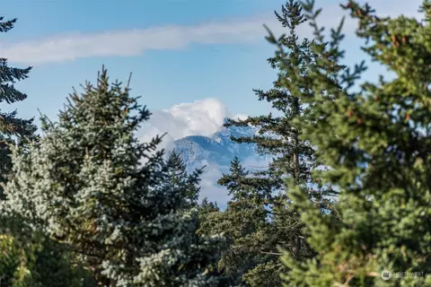 Other - 126 Hogans Vis, Sequim, WA 98382 photo 1 of 5