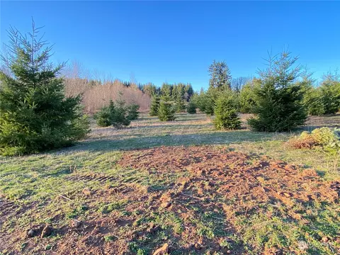 0 Lot 1 Brockway Rd, Chehalis, WA 98532