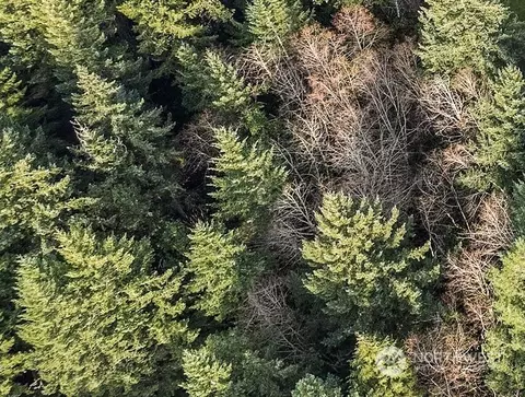 0 E Jared Rd #LOT D, Shelton, WA 98584