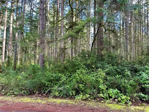 11708 Canal Pl, Anderson Island, WA 98303