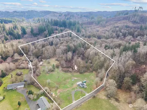 171 Langabeer Rd, Oakville, WA 98568