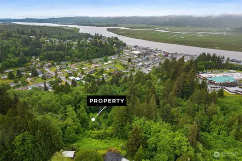 0 X Rixon Rd, South Bend, WA 98586