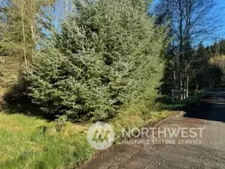7739 Casey Rd, Deming, WA 98244
