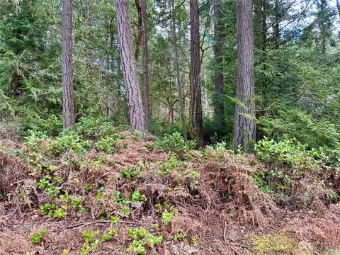 11824 Dogwood Pl, Anderson Island, WA 98303
