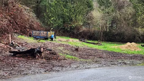 0 Olequa Ct, Vader, WA 98593