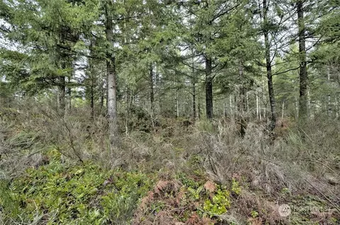 0 E Nnn E State Route 3, Grapeview, WA 98546 photo 14