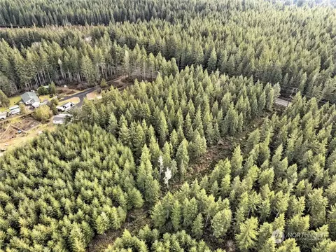0 E Nnn E State Route 3, Grapeview, WA 98546 photo 5