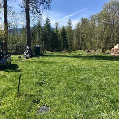 31208 555th Street Ct E, Ashford, WA 98304