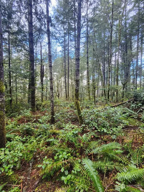 7664 Hidden Acres Pl SW, Port Orchard, WA 98367