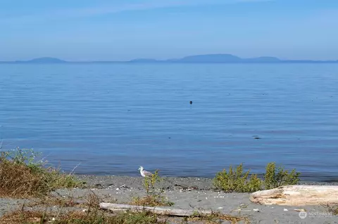 View/Area - 104 Hilltop Dr #C, Sequim, WA 98382 photo 2 of 2