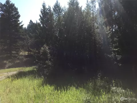 3 Trapline Loop Rd, Oroville, WA 98844