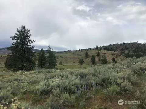 0 Pickens Valley Rd, Tonasket, WA 98855