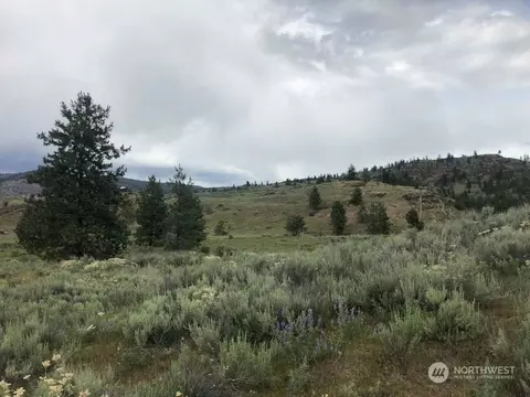 0 Pickens Valley Rd, Tonasket, WA 98855