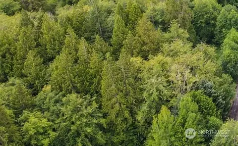 16511 51st Ave SE, Bothell, WA 98012