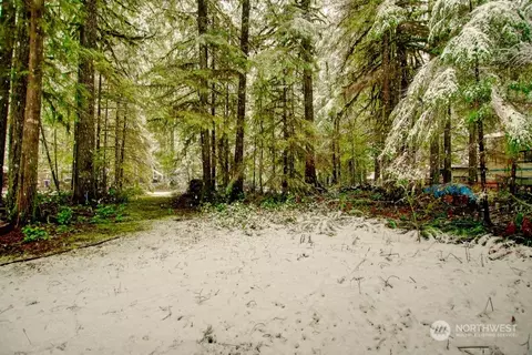 52 3 Schinn Canyon Cir, Deming, WA 98244