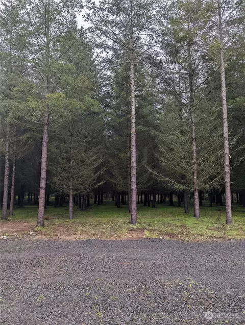 460 Avery Rd E, Chehalis, WA 98532 photo 3