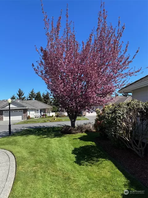 Exterior - 431 Blakely Blvd, Sequim, WA 98382 photo 11 of 11