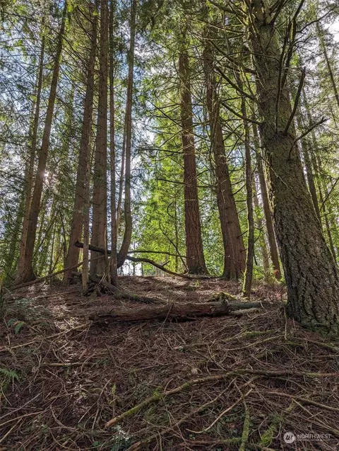 128 Proffitt Rd, Centralia, WA 98531