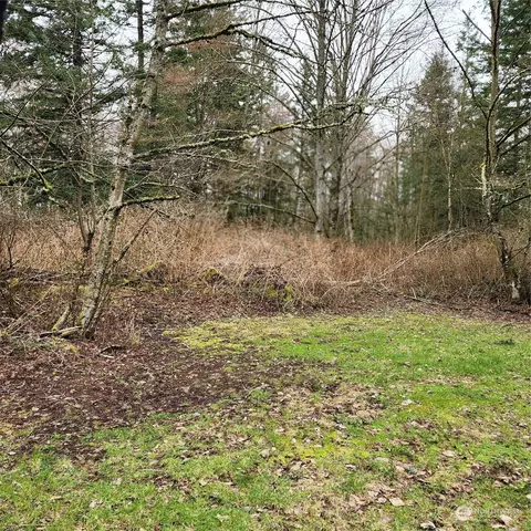 0 Valley View Lot 2 Rd, Ferndale, WA 98248
