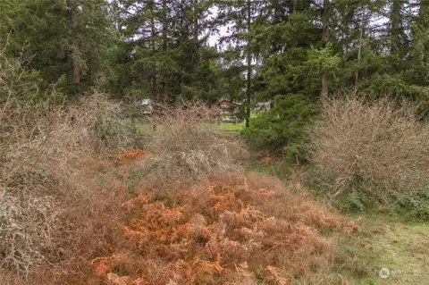 1503 284th St E, Roy, WA 98580 photo 3