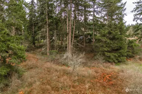 1503 284th St E, Roy, WA 98580 photo 4