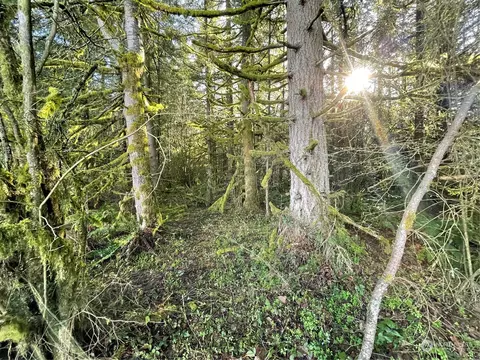 0 Sargent Rd, Winlock, WA 98596 photo 15