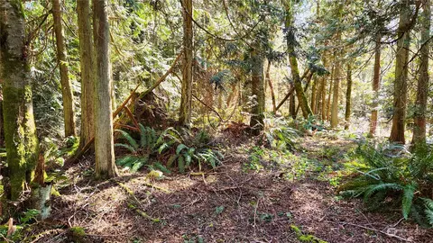 0 Lot 27 Skunk Bay Rd NE, Hansville, WA 98340